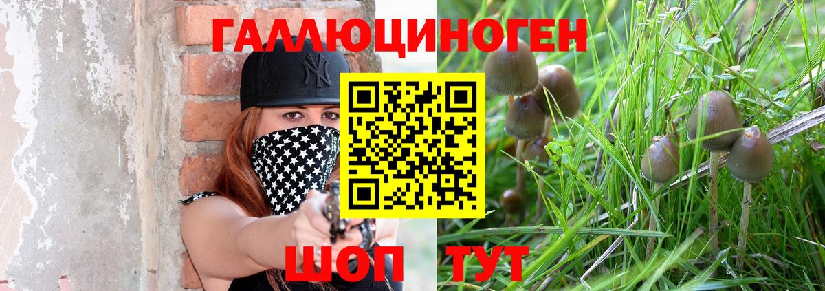 Галлюциногенные грибы прущие грибы Брянск